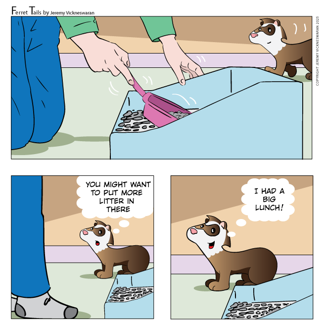 ferret tails January Week 4  cartoon 2024 