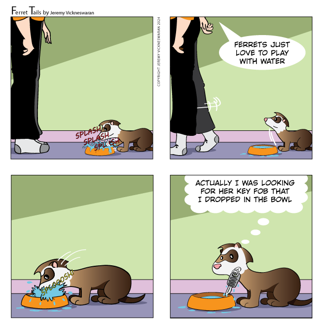 ferret tails May Week 1 cartoon 2024 