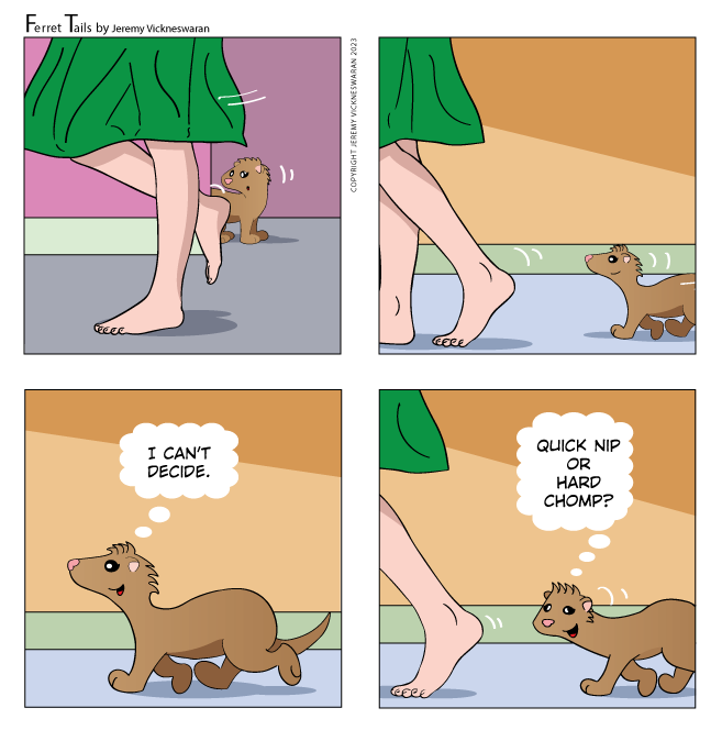 ferret tails May Week 1 cartoon 2023 