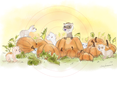 ferrets in a pumpkin patch