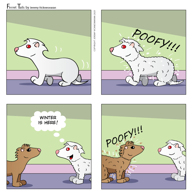 ferret tails December Week 1 2025 