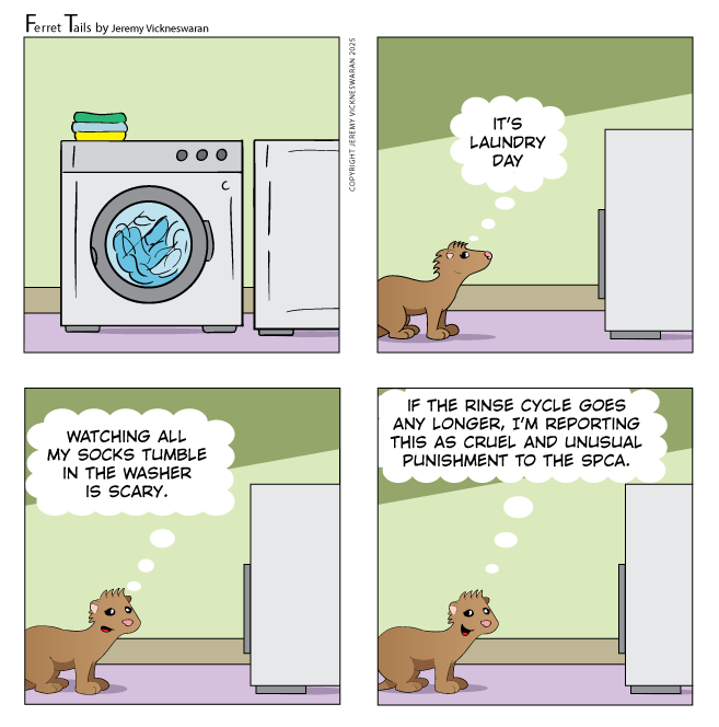 ferret tails December Week 2 2025 