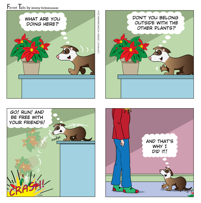 ferret tails December Week 1  cartoon 2024 