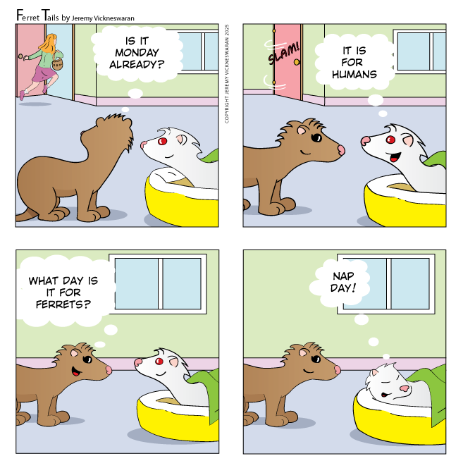 ferret tails January Week 2 