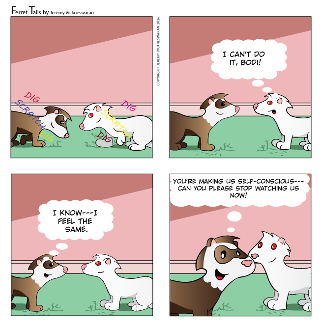 ferret tails January Week 3 