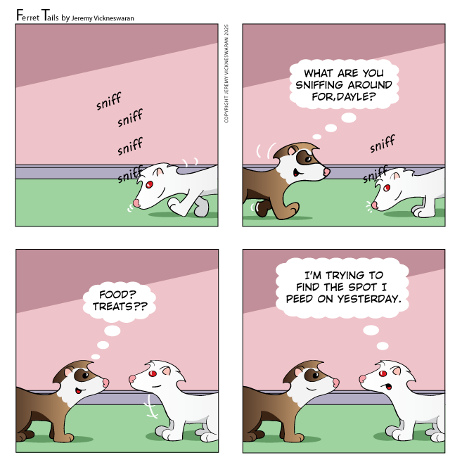 ferret tails June Week 3 cartoon 2025 