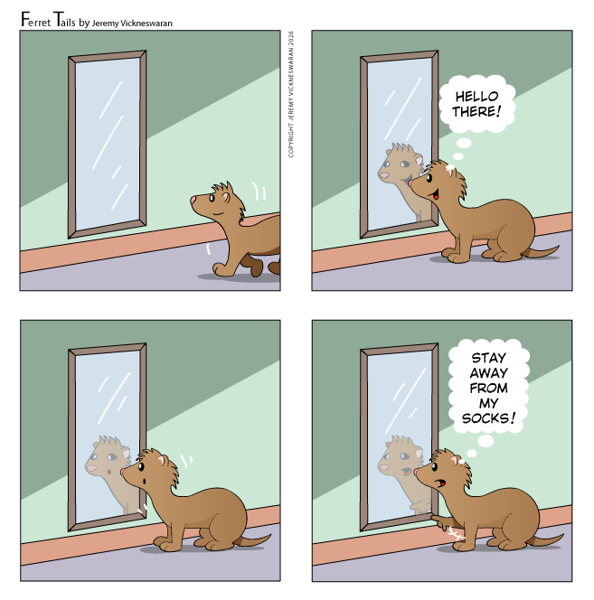 ferret tails June Week 1