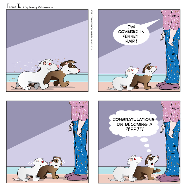 ferret tails June Week 4