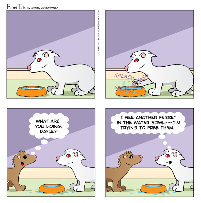 ferret tails March Week 1 