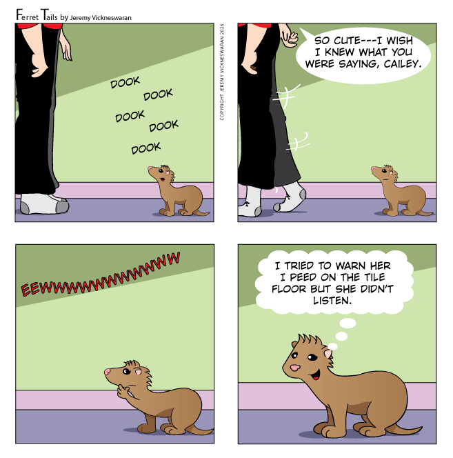 ferret tails March Week 2 