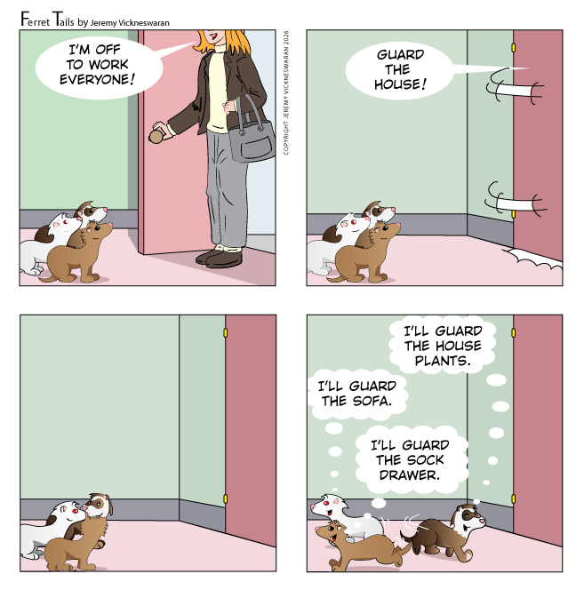 ferret tails May Week 2