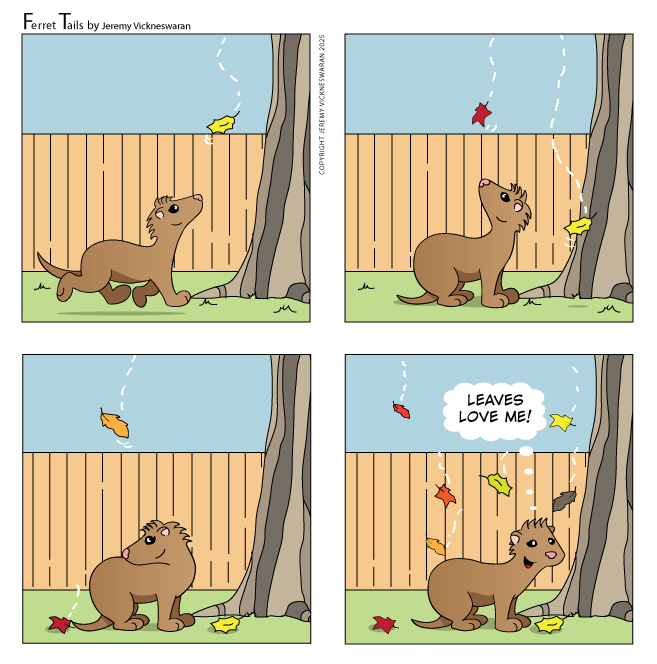 ferret tails November Week 2 2025 