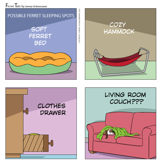 ferret tails November Week 3 2025 