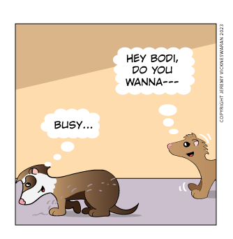 ferret tails bonus panel