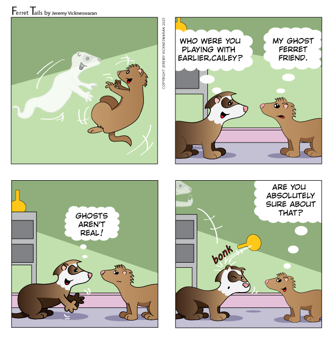 ferret tails October Week 4 2025 