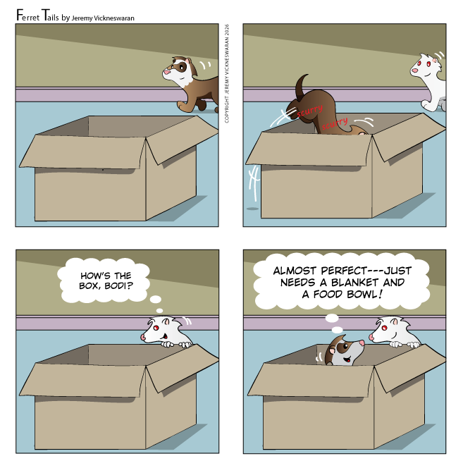 ferret tails September Week 1