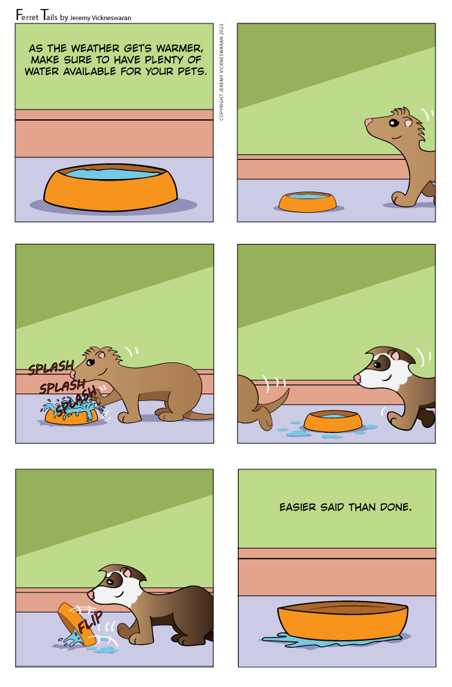 ferret tails June Week 3 cartoon 2023 